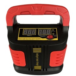 Зарядний пристрій для АКБ WesunWell XX-005/010