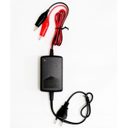 Зарядний пристрій для АКБ Merlion Q100 12V / 1.5A 